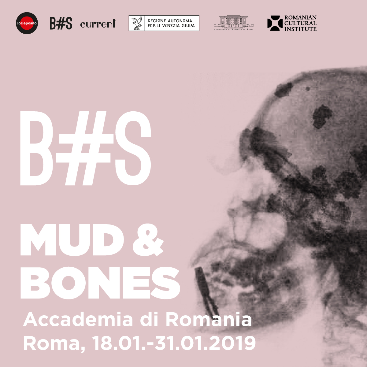 Mud & Bones